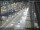 Webcam in Sydney, 11.5 km