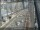 Webcam in Sydney, 0.6 km