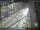Webcam in Sydney, 2.4 km entfernt