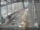 Webcam in Sydney, 357.4 km entfernt