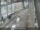 Webcam in Sydney, 734.9 km