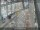 Webcam in Sydney, 356.7 mi away
