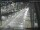 Webcam in Sydney, 760.2 km