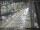 Webcam in Sydney, 278.1 mi away