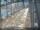 Webcam in Sydney, 735.7 km