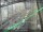 Webcam in Sydney, 623.2 km entfernt