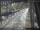 Webcam in Sydney, 721.1 km