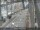 Webcam in Sydney, 450.6 mi away