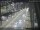 Webcam in Sydney, 532.8 km