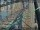 Webcam in Sydney, 706.1 km entfernt