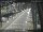 Webcam in Sydney, 669.1 km