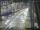 Webcam in Sydney, 679.2 km entfernt
