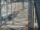 Webcam in Sydney, 730.5 km entfernt