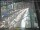 Webcam in Sydney, 1162.1 km