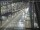 Webcam in Sydney, 44.9 mi away