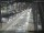 Webcam in Sydney, 5.2 km