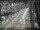 Webcam in Sydney, 566.8 km entfernt