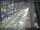 Webcam in Sydney, 760.2 km