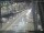 Webcam in Sydney, 450.6 mi away