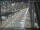 Webcam in Sydney, 450.7 mi away