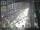 Webcam in Sydney, 714.6 km entfernt