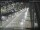 Webcam in Sydney, 450.6 mi away