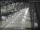 Webcam in Sydney, 740.9 km