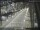 Webcam in Sydney, 702.7 km entfernt