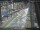 Webcam in Sydney, 258.4 mi away