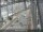 Webcam in Sydney, 240.4 mi away