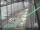 Webcam in Sydney, 924.5 km entfernt