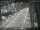 Webcam in Sydney, 714.5 km