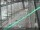 Webcam in Sydney, 702.7 km