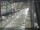 Webcam in Sydney, 450.6 mi away
