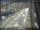 Webcam in Sydney, 259.1 mi away