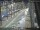 Webcam in Sydney, 2 km entfernt