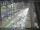 Webcam in Sydney, 1162.5 km entfernt