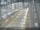Webcam in Sydney, 284.8 mi away