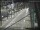 Webcam in Sydney, 714.6 km