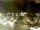 Webcam in Pátzcuaro, 228.7 mi away