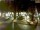 Webcam in Pátzcuaro, 350.5 km