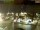 Webcam in Pátzcuaro, 938 km entfernt