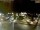 Webcam in Pátzcuaro, 291.2 km