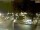 Webcam in Pátzcuaro, 101.9 mi away