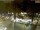 Webcam in Pátzcuaro, 157.4 mi away
