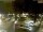 Webcam in Pátzcuaro, 85.7 mi away
