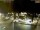 Webcam in Pátzcuaro, 631 km entfernt
