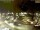 Webcam in Pátzcuaro, 407 km entfernt