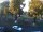 Webcam in Pátzcuaro, 259.7 km