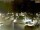 Webcam in Pátzcuaro, 264 km entfernt